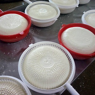 КФХ Васютин (Смоленск), производство армянский сыр чанах — относится к категории рассольных сыров.